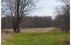 Property photo 144 - REAL ESTATE & PERSONAL PROPERTY AUCTION, 140 Acres offered in 8 Tracts or Combinations in Steuben County